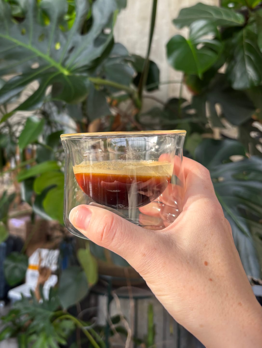 Customer photo review of FLUR Latte Glasses
