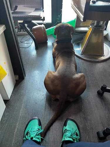 Customer photo review of Aurora - Scarpe Larghe