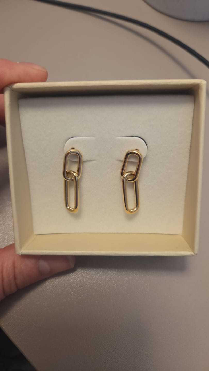 Customer photo review of Tiffany Earrings