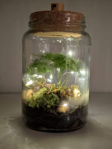 Kundenfoto eines fertigen Flaschengartens. Eine kleine Pflanze und Moos in einem Glasgefäß werden von einer Lichterkette beleuchtet.