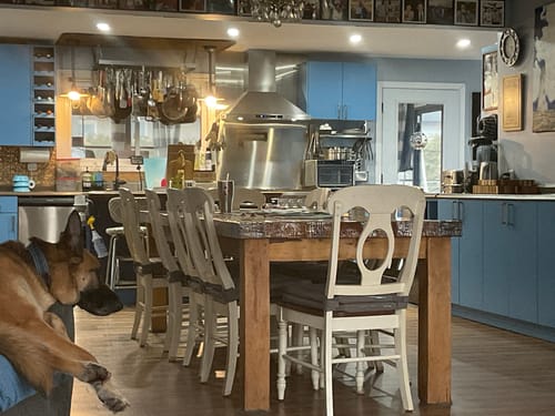 Customer's dog wearing the PawLax Collar while resting calmly on a couch.