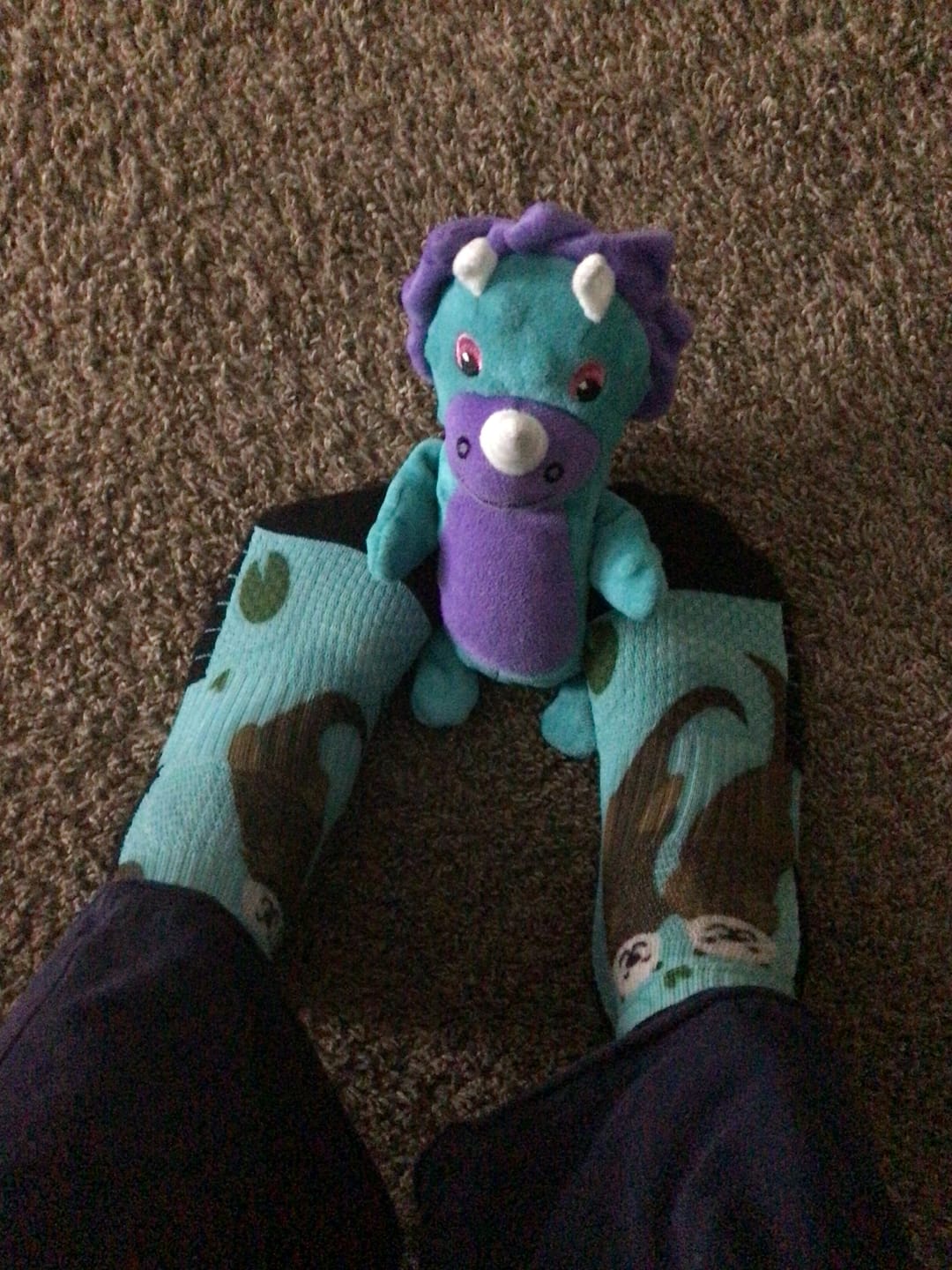 Customer photo review of Ankle Compression Buy 1 Get 2 Free Mystery Offer