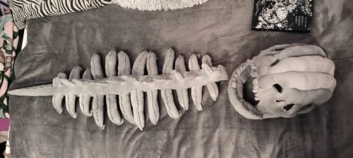 Customer photo review of BoneBuddies