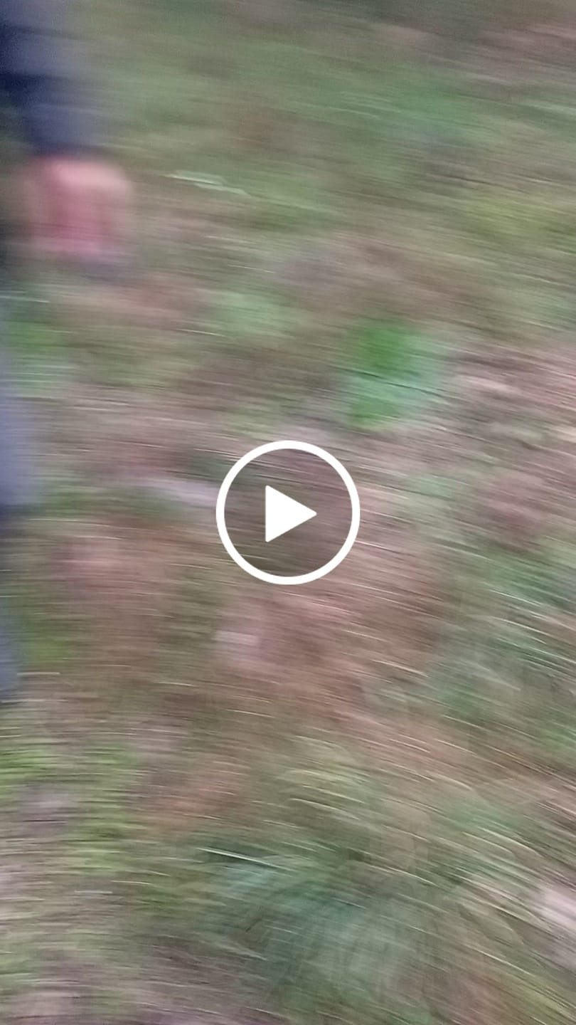 Customer video review of Battery for Ebike