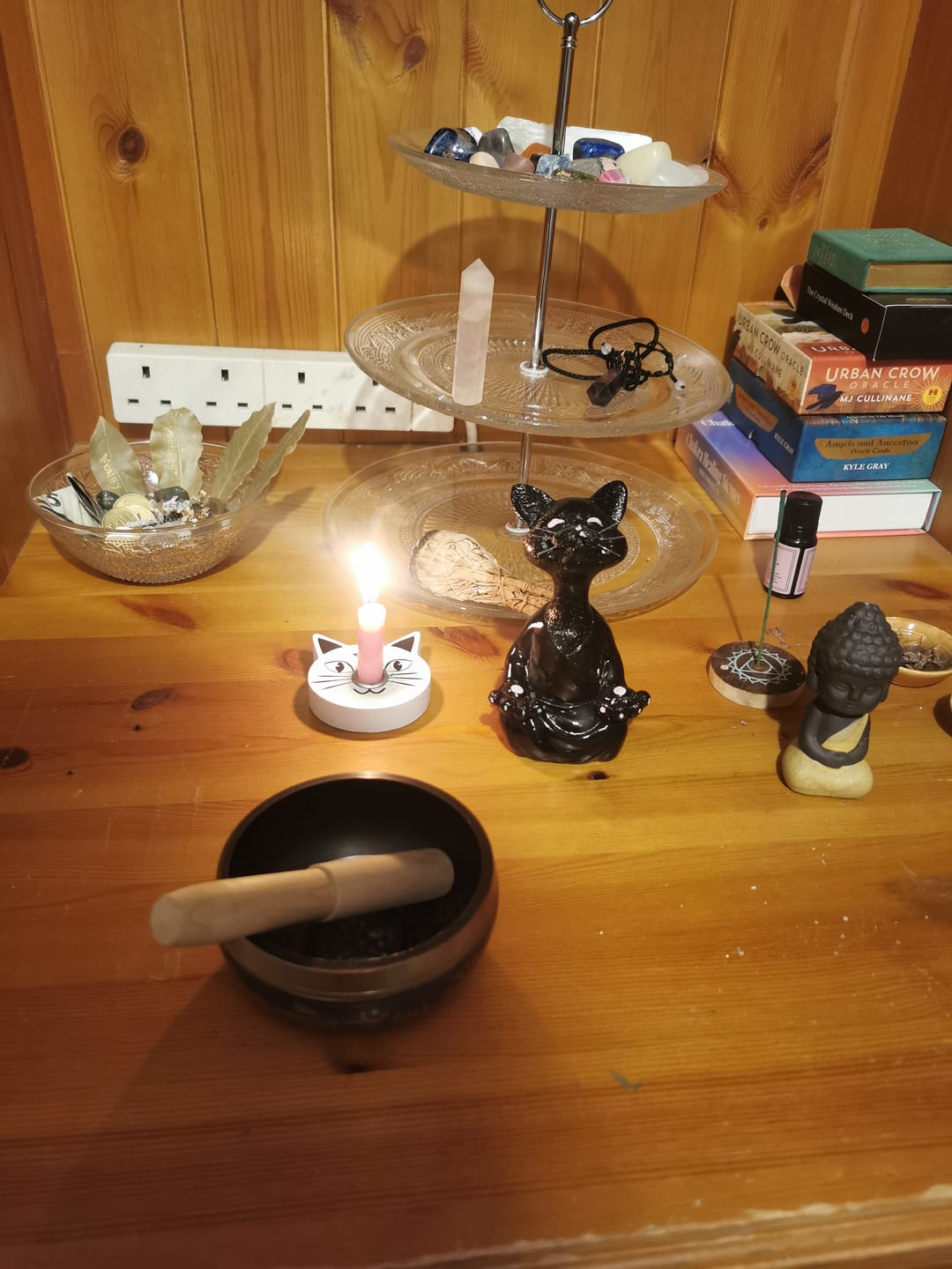 Customer photo review of Traditional Tibetan Singing Bowl