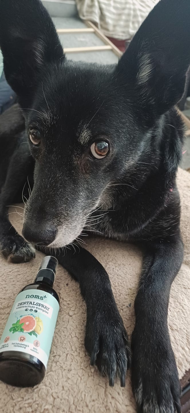 Customer photo review of Dentalspray bei Zahnstein für Hunde und Katzen [Jahresvorrat]