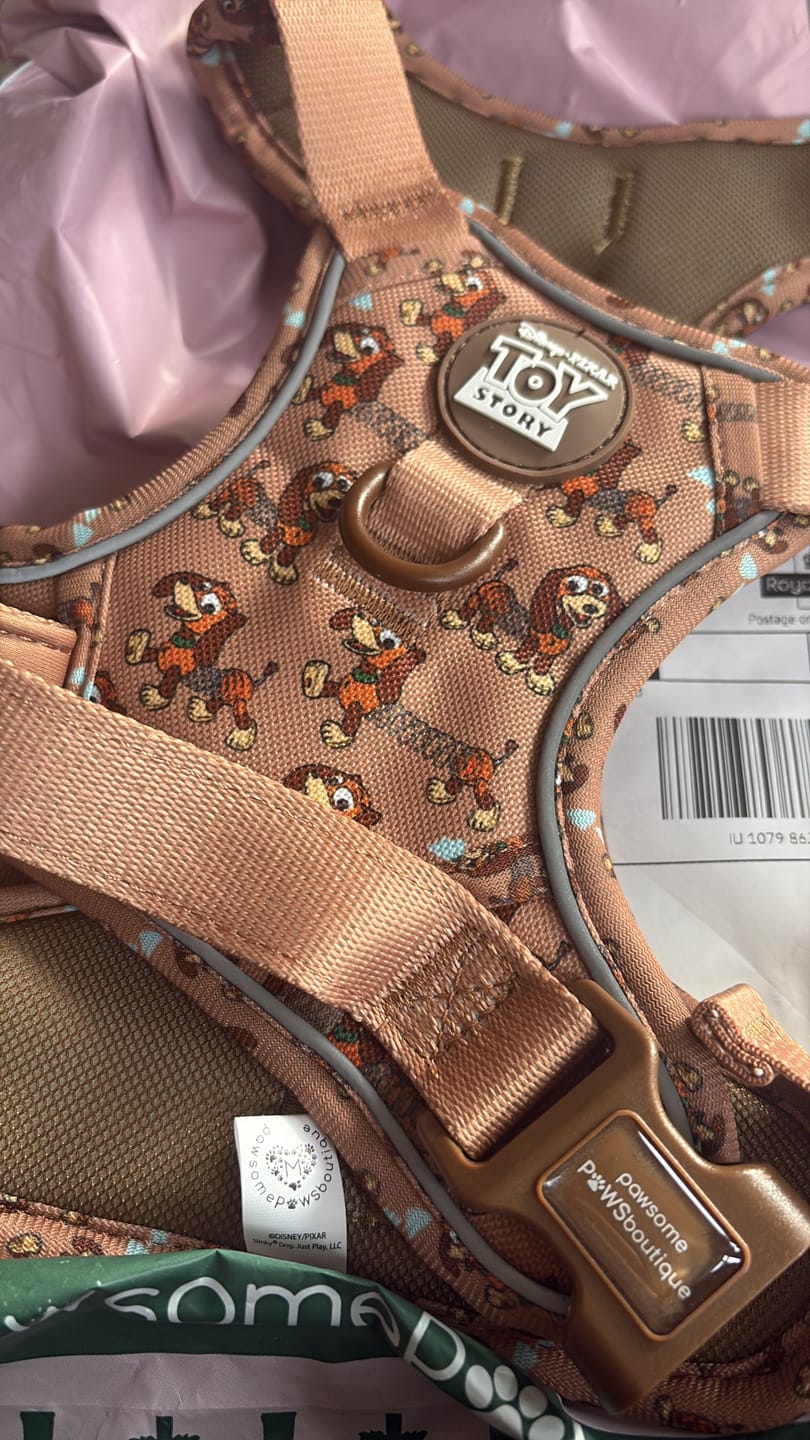 Customer photo review of Disney© Tough Trails™ Harness - Slinky