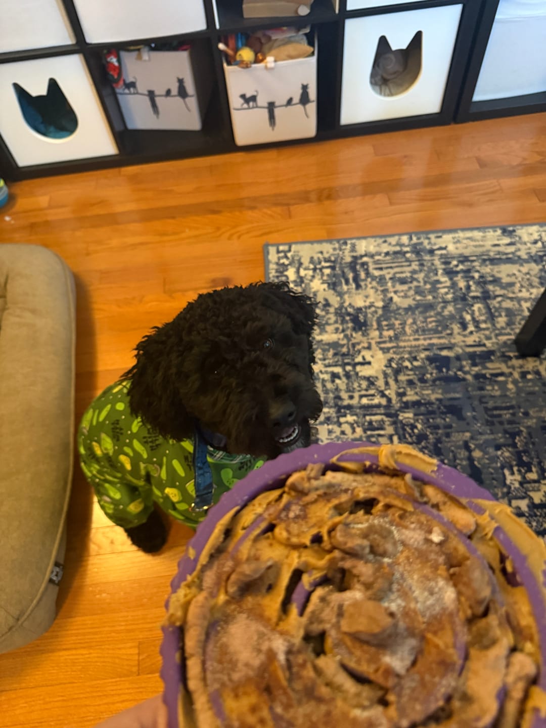 Customer photo review of Bone Refills Dog Meat 90 Grams (4 Pack)®