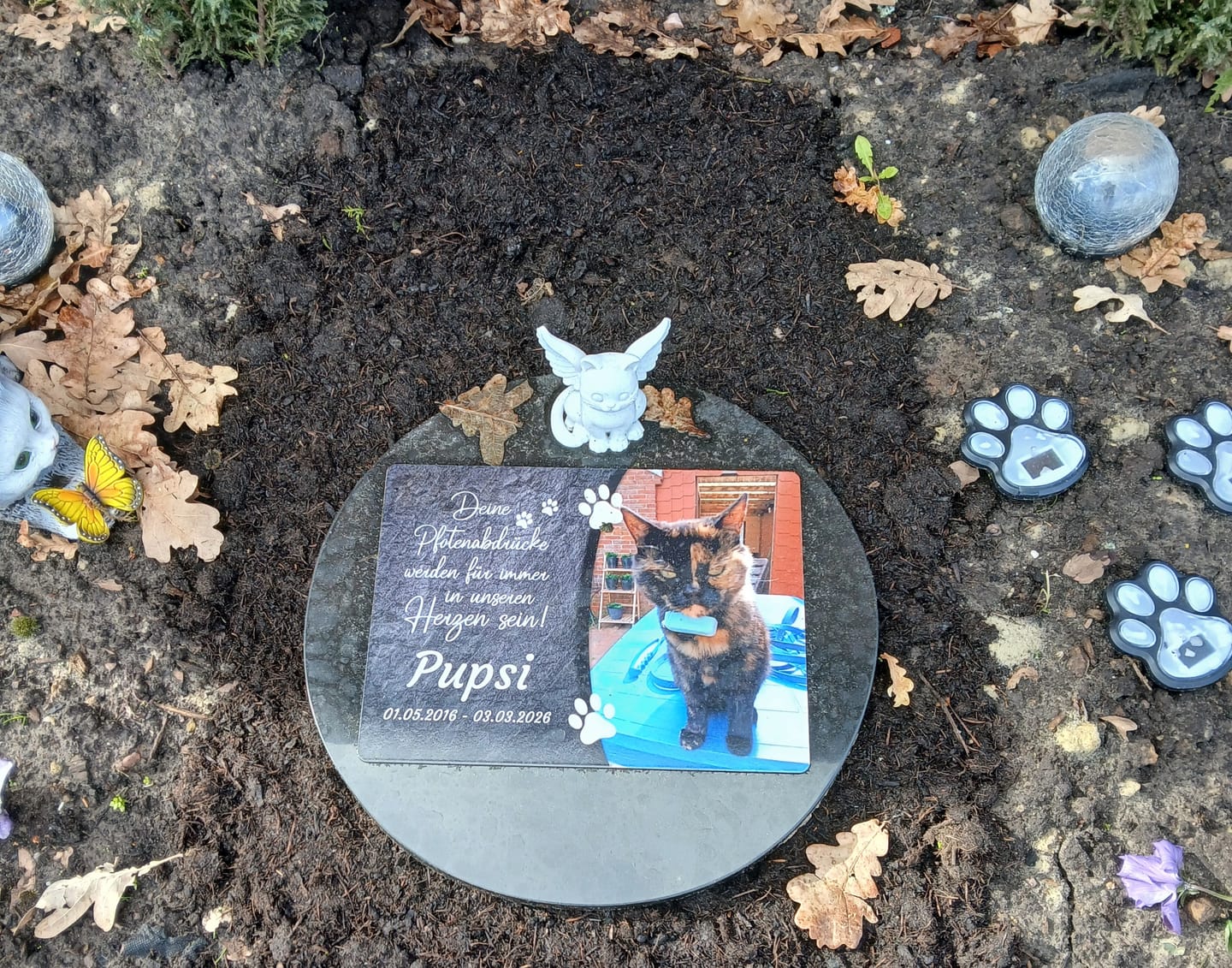 Customer photo review of Katzen Gedenktafel mit Foto & Spruch (UV- & Wetterfest)