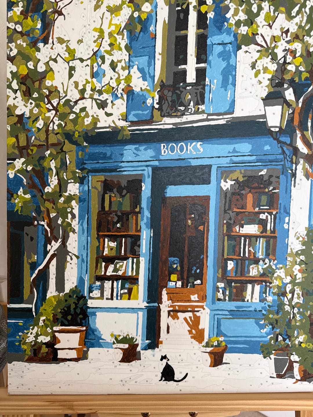 Customer photo review of Where books live | Paint by Number