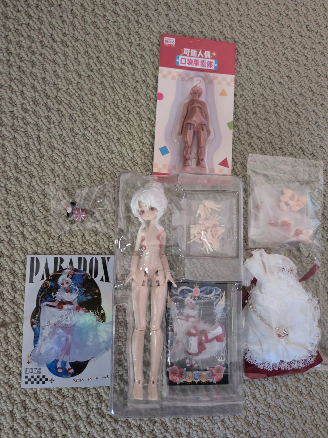 Customer photo review of Paradox World Series 1/8 Action Figure BJD Blind Box