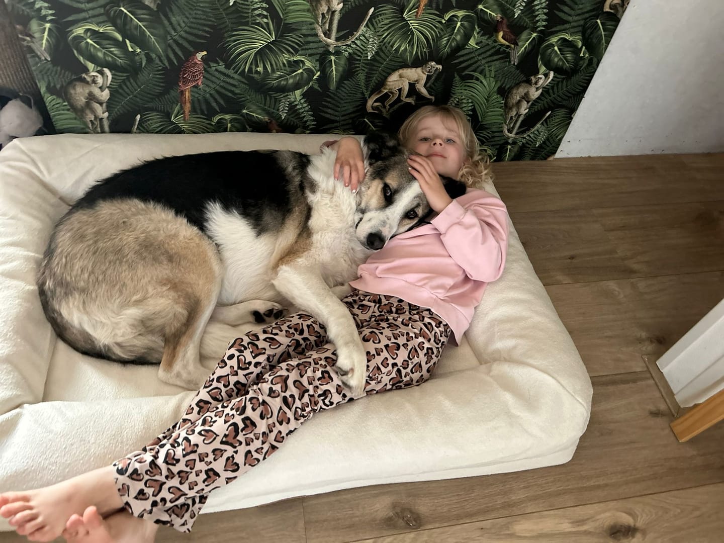 Customer photo review of Pet Perfect Orthopedische Hondenmand - Model 2
