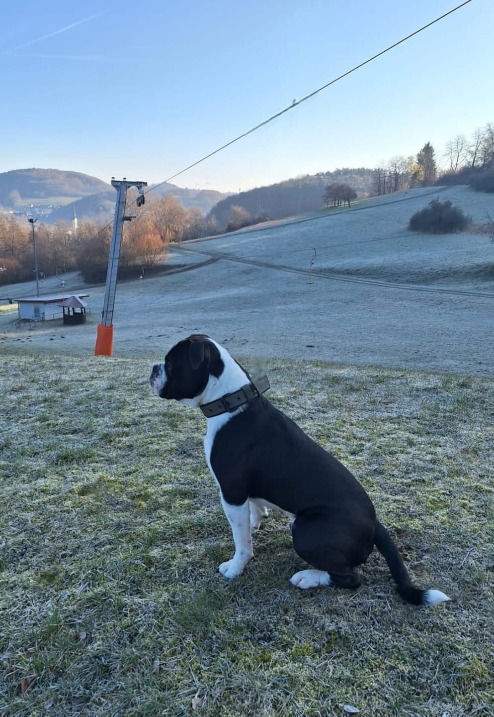 Customer photo review of Active Komfort Black Edition Khaki - Brett slitstarkt halsband med spänne
