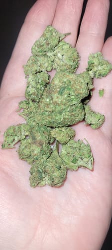 Customer photo review of Larry Bird Gelato THCA Flower