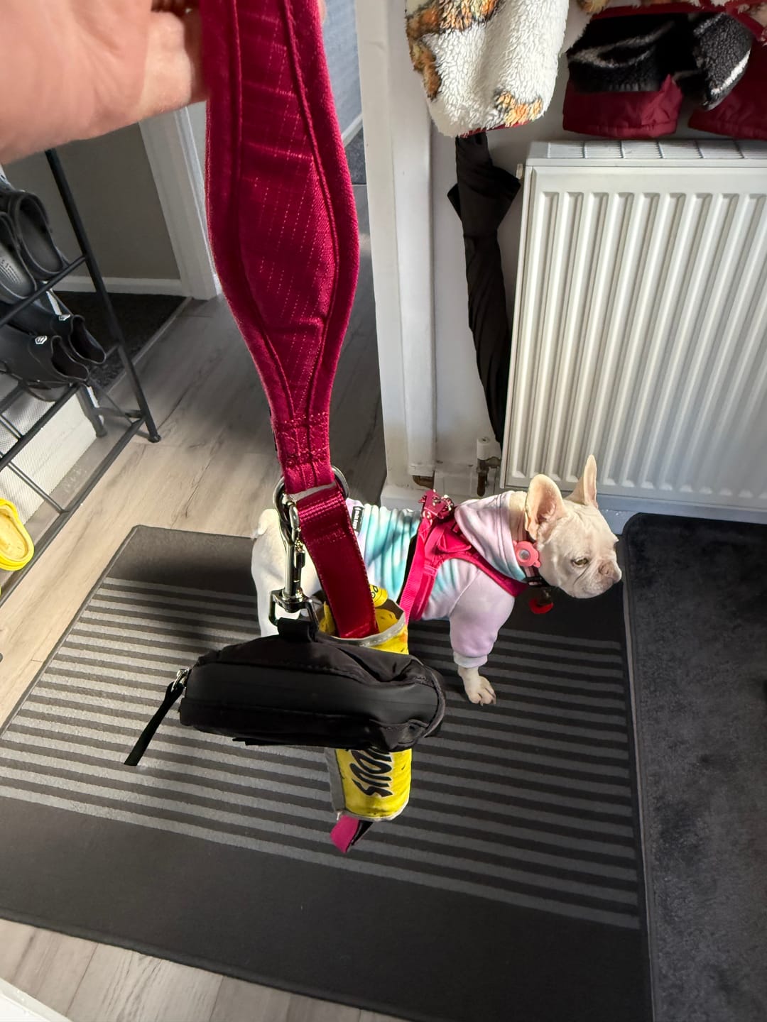 Customer photo review of Poop Bag Holder | Attachable - One Size