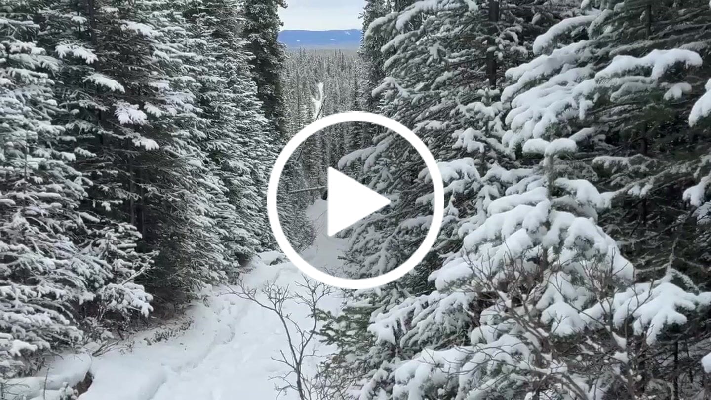 Customer video review of 2.5-Inch Lift Kit for Polaris RZR Trail S 900/1000 (2021+)