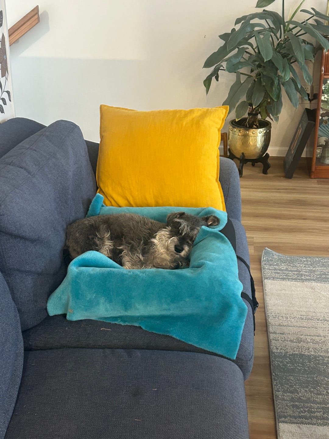 Customer photo review of Car Seat Cover