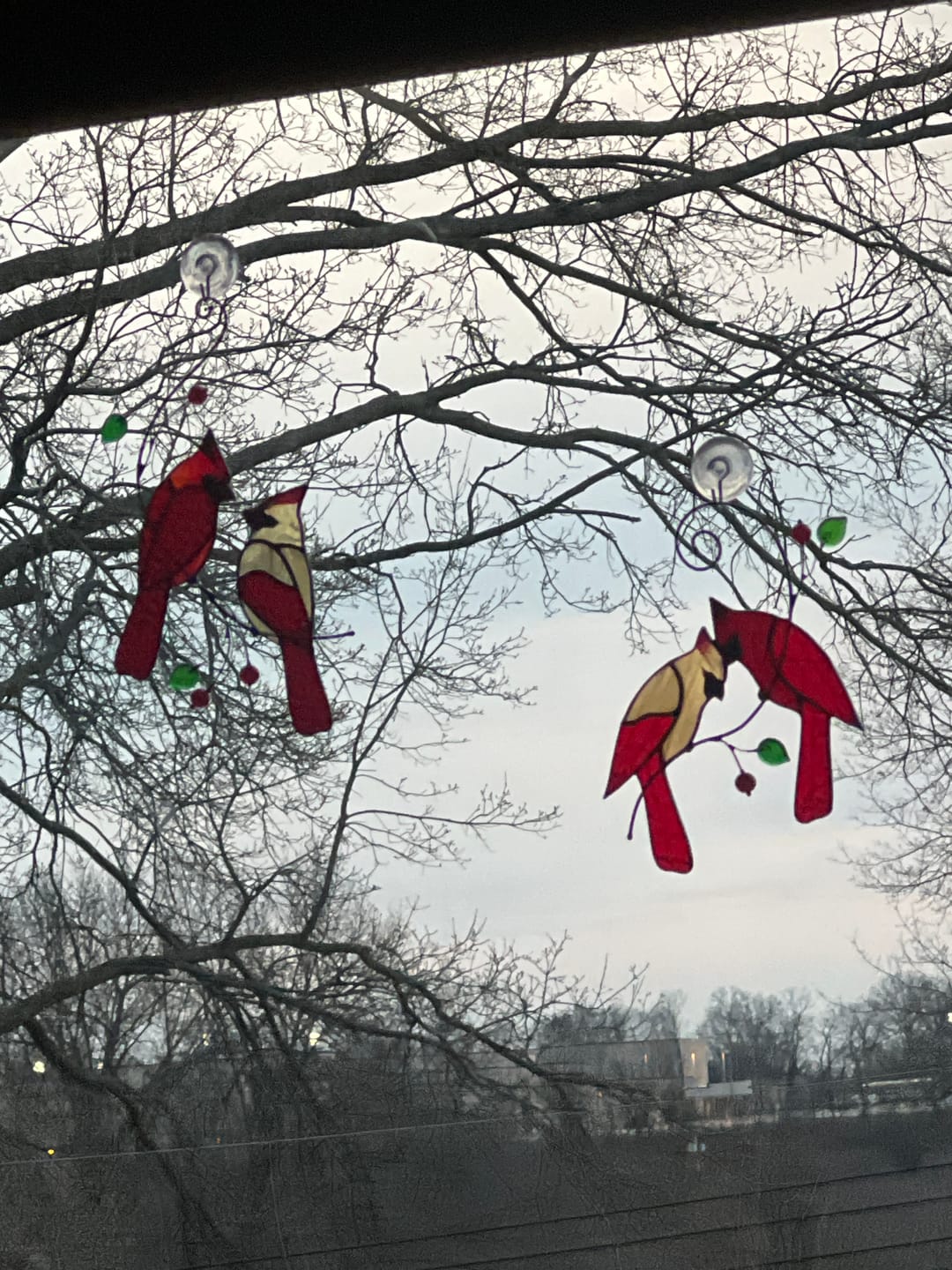 Customer photo review of Red Cardinals on a Leafy Branch - Stained Glass Suncatcher