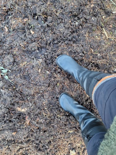 Arvostelijan jalassa mustat Vaistoa Katve 2 -kumisaappaat seisomassa mutaisessa maastossa.