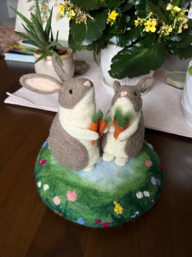 Customer photo review of Bunnies & Carrots Needle Felting Kit