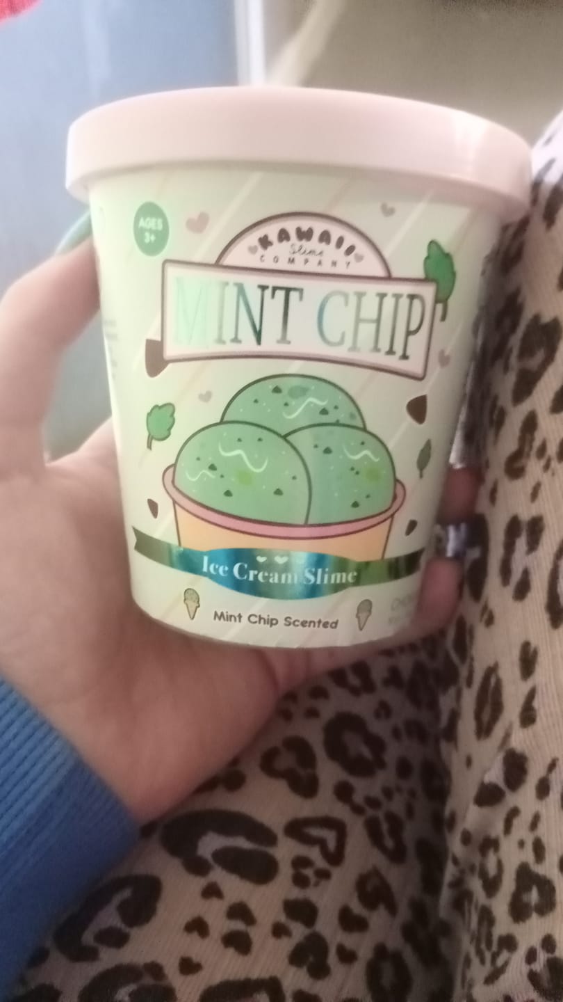 Customer photo review of Mint Chip Scented Ice Cream Pint Slime