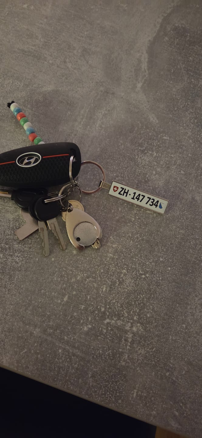 Customer photo review of Personalisierter Kennzeichen-Schlüsselanhänger – Dein Nummernschild als Anhänger