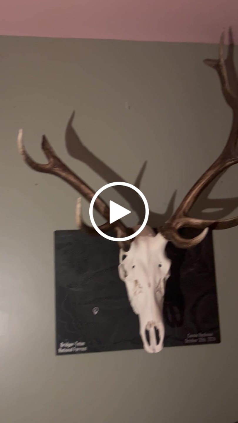 Customer video review of SkulLok | Large Game