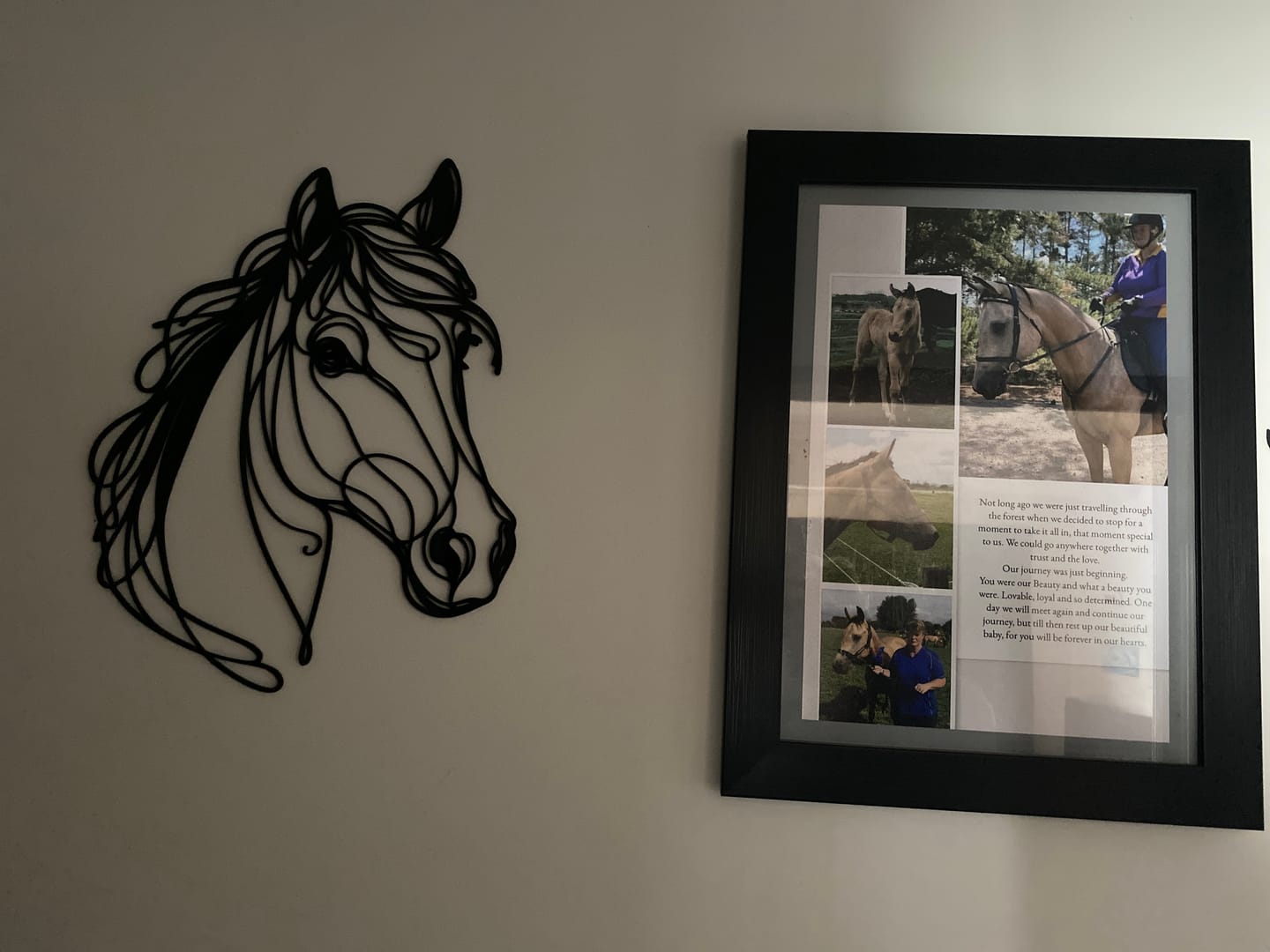 Customer photo review of Line Art Horse Head Décor