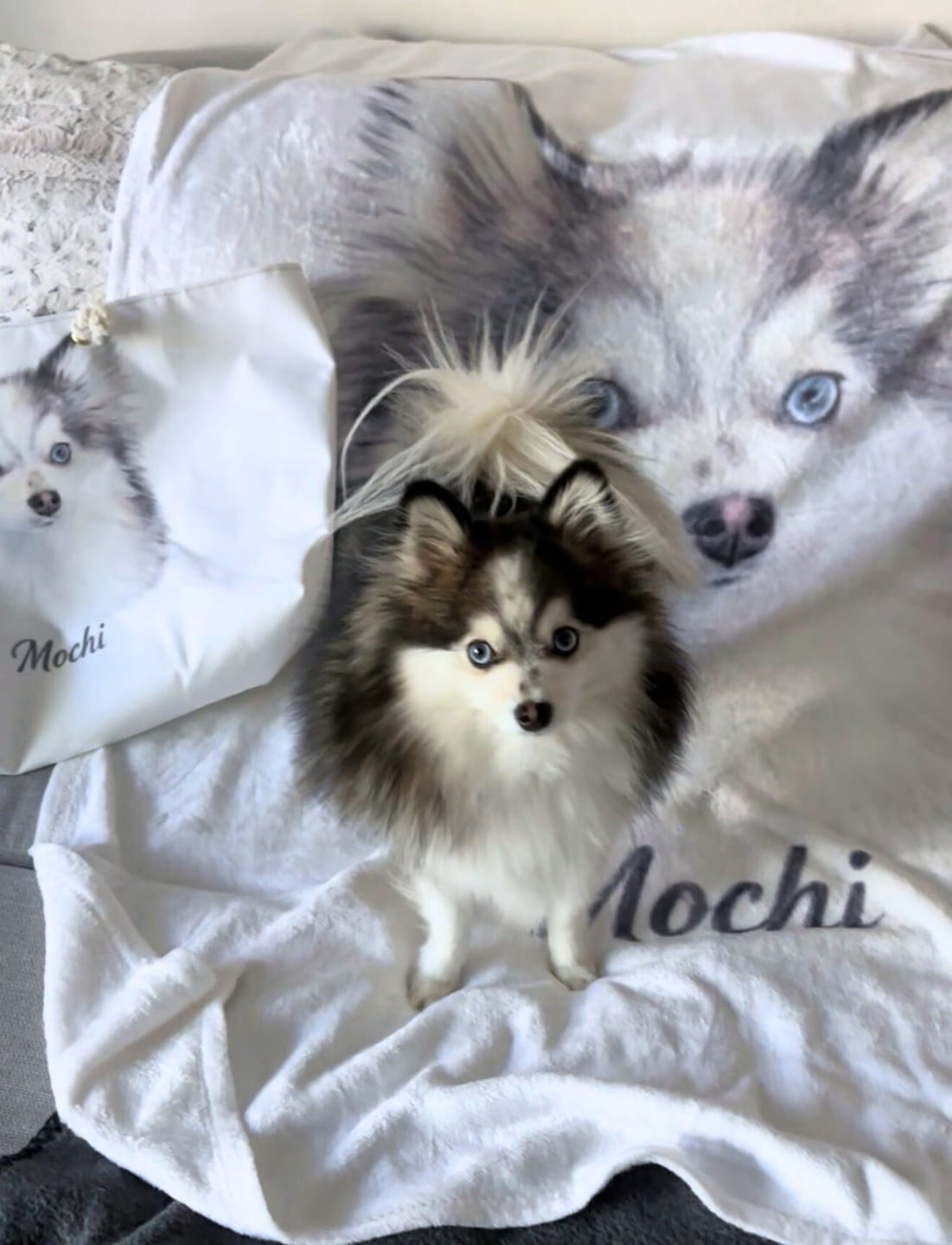 Customer photo review of Custom Pet Blanket