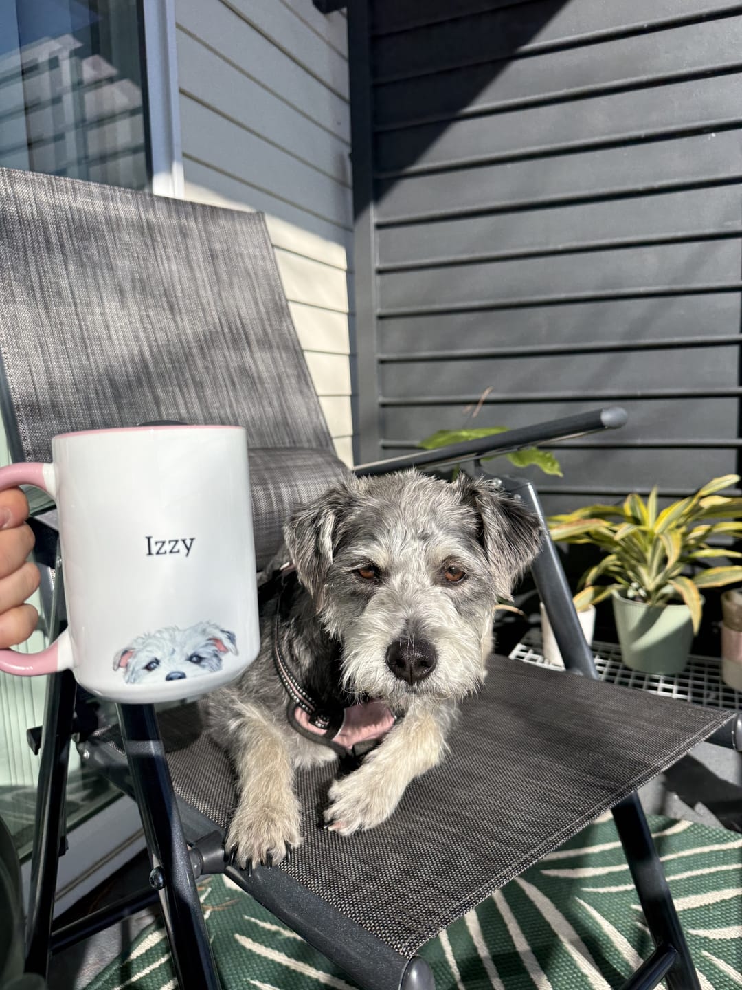 Customer photo review of Custom Peeking Pet Colorful Mug