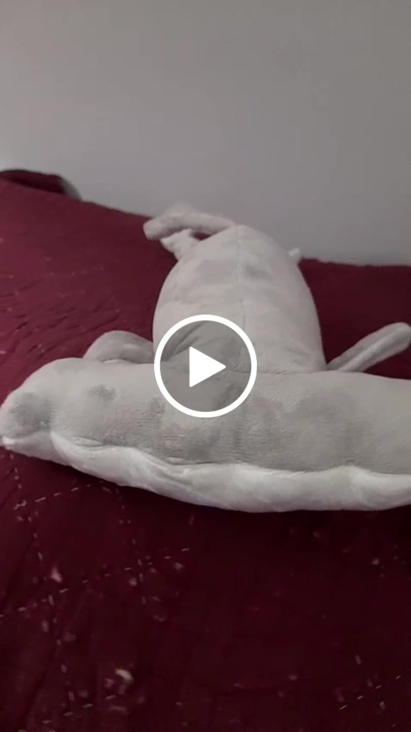 Customer video review of Hammerhead Shark Soft Stuffed Plush Toy