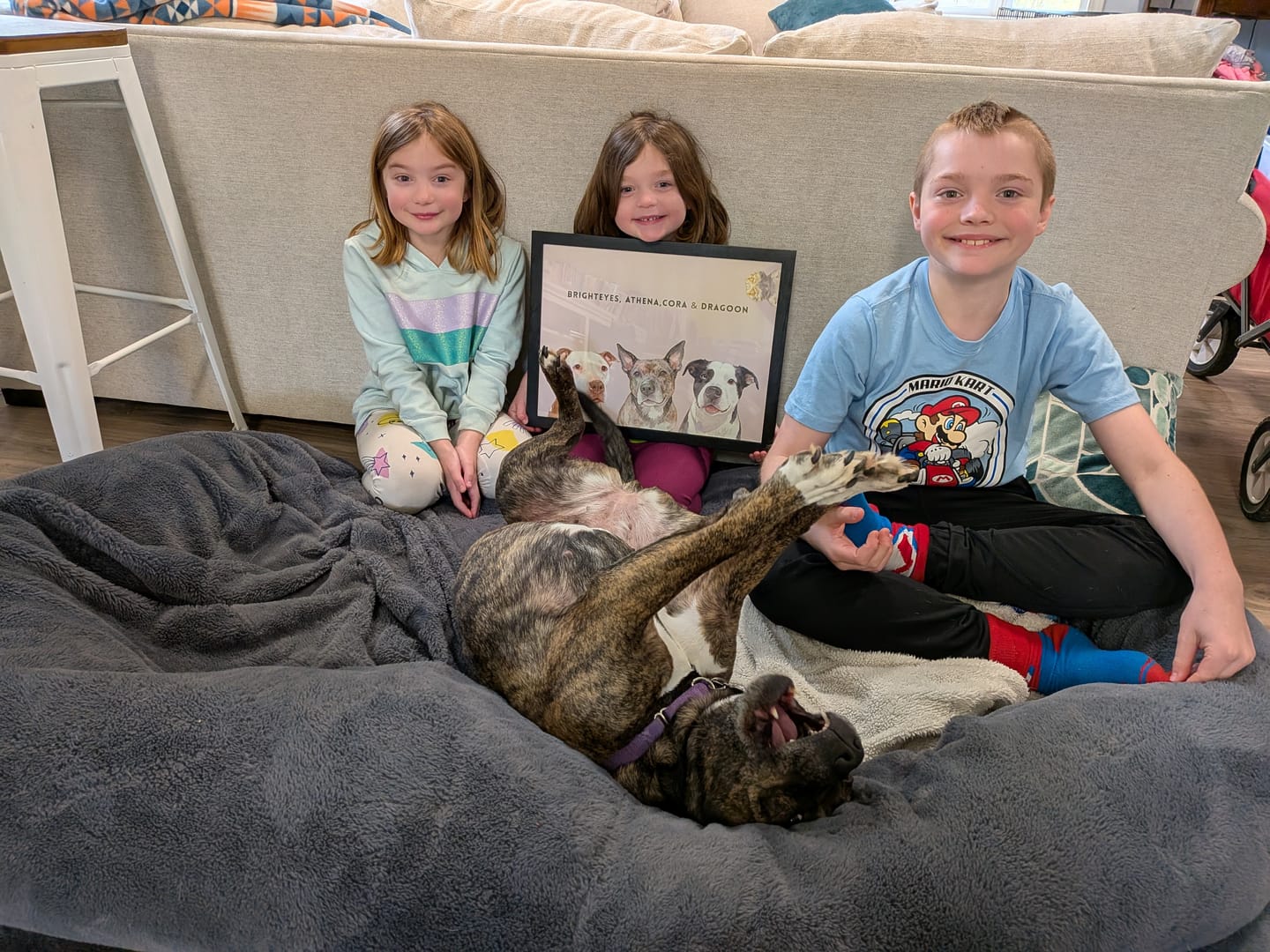 Customer photo review of Custom Four Pet Portrait