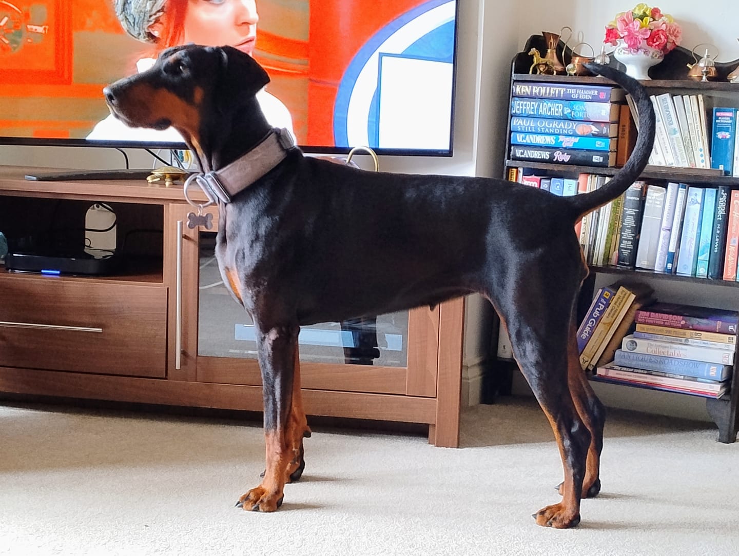 Customer photo review of 5cm Combat® Collar | With Handle & Secure Clip - Black
