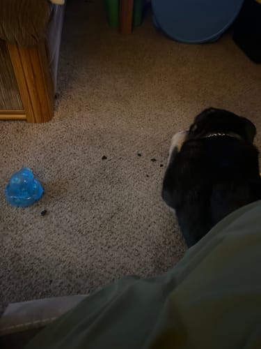 Customer photo review of The Tire - USA Made