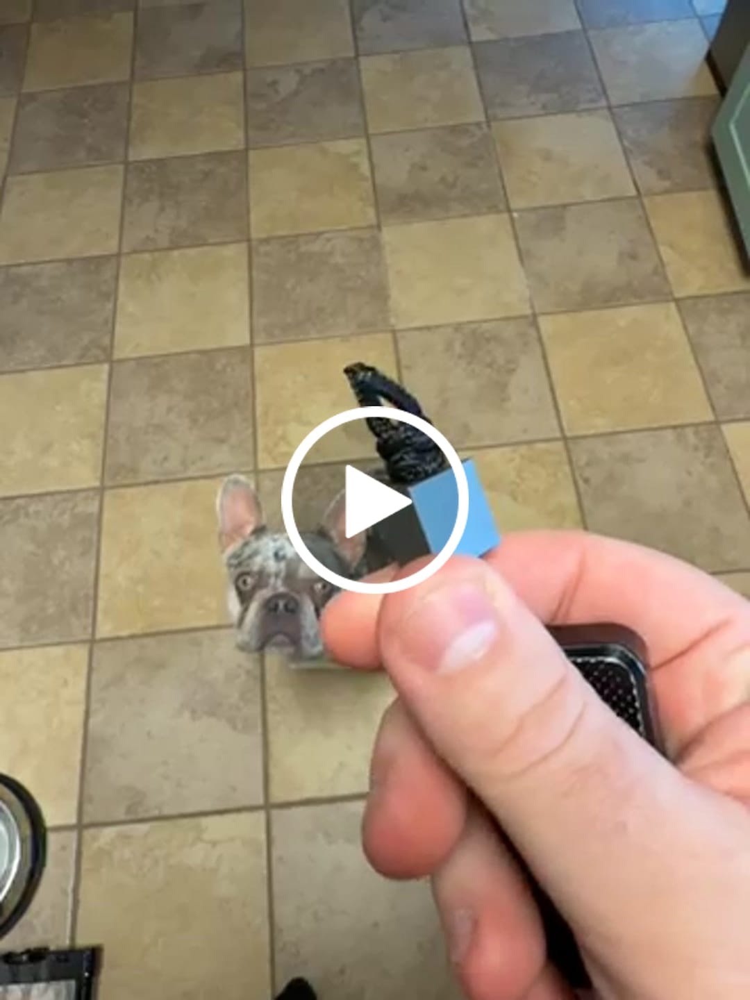 Customer video review of T-Brick Titanium Lanyard Bead