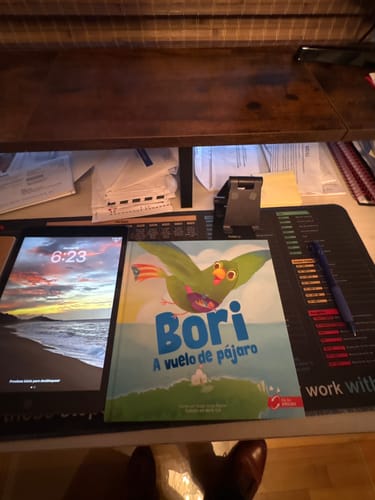 Customer photo review of Bori: A Vuelo de Pájaro | Libro Bilingüe