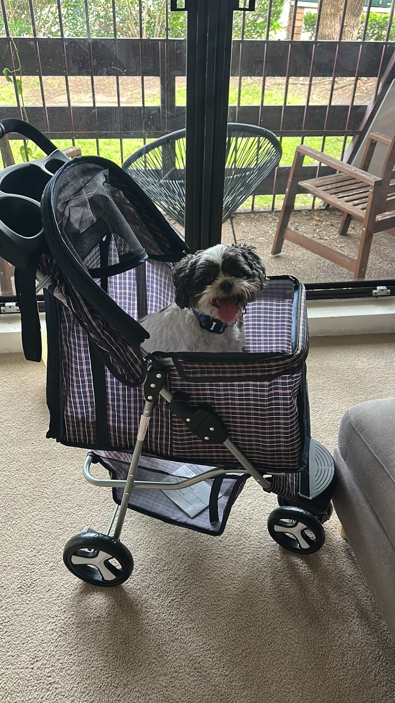 Customer photo review of Large Dog Stroller - 3 Wheels
