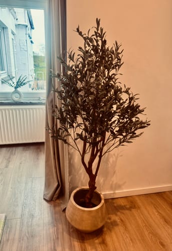 Customer photo review of Kunst Olijfboom 150cm