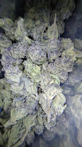Customer photo review of Cheap THCA Smalls Ounce