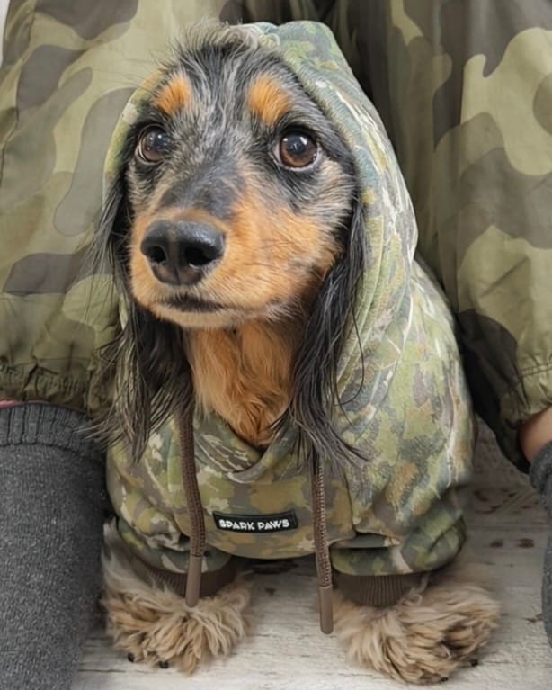 Customer photo review of Camo Dog Hoodies