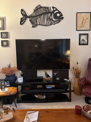 Customer photo review of Fossilized Fish Wall Art