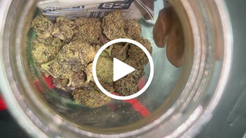 Customer video review of Velvet Runtz THCA Flower