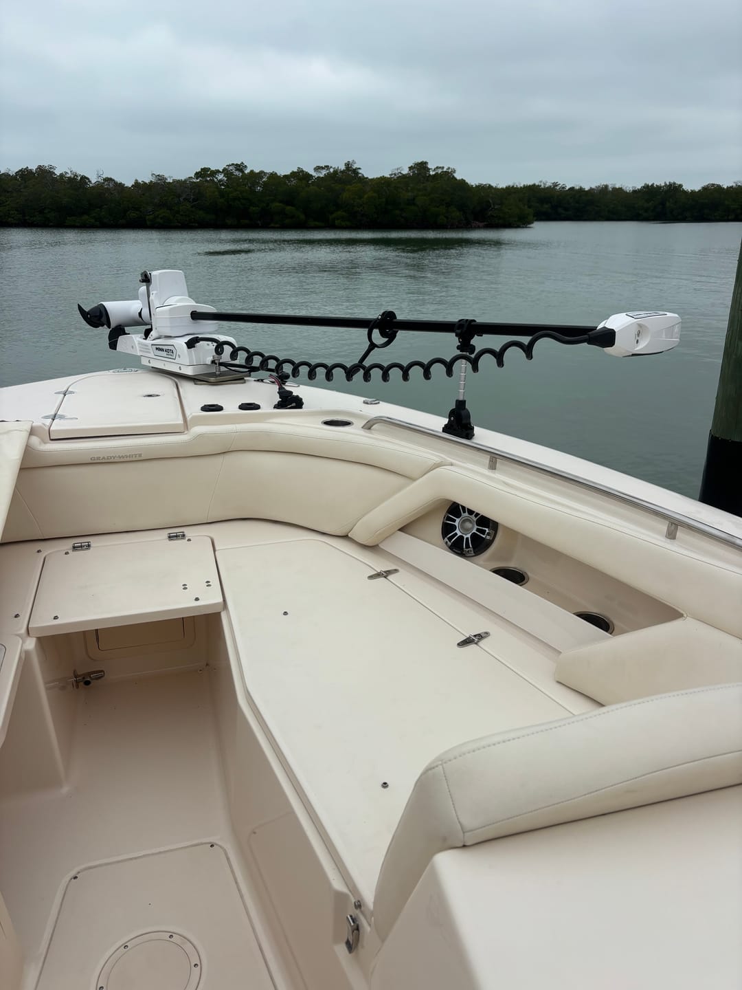 Customer photo review of Sea Swivel™ Trolling Motor Mount