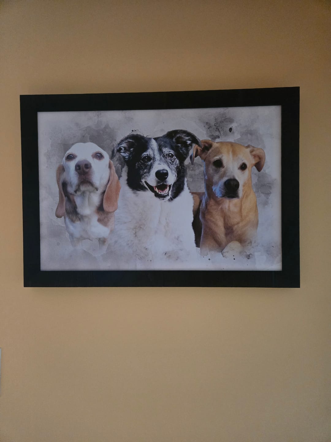 Customer photo review of Worry-Free Purchase