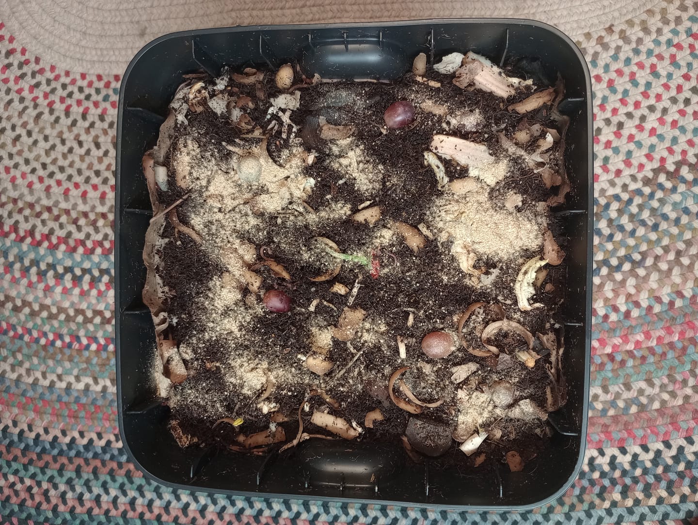 Customer photo review of Mazuri® Earthworm Feed
