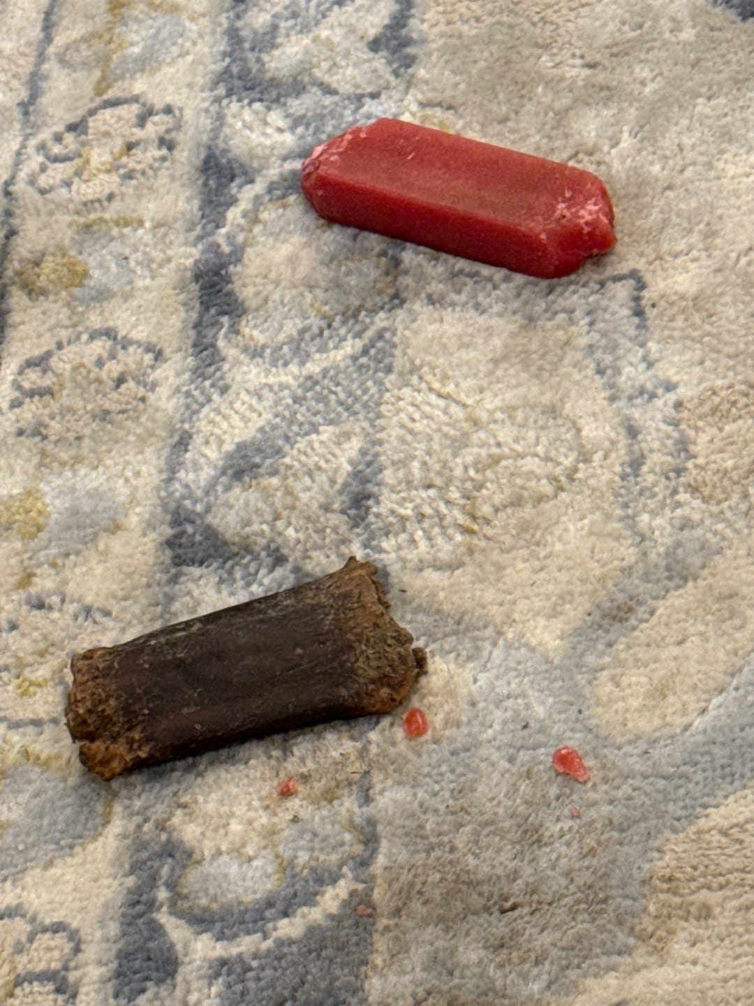 Customer photo review of 6-Inch Standard Bully Sticks
