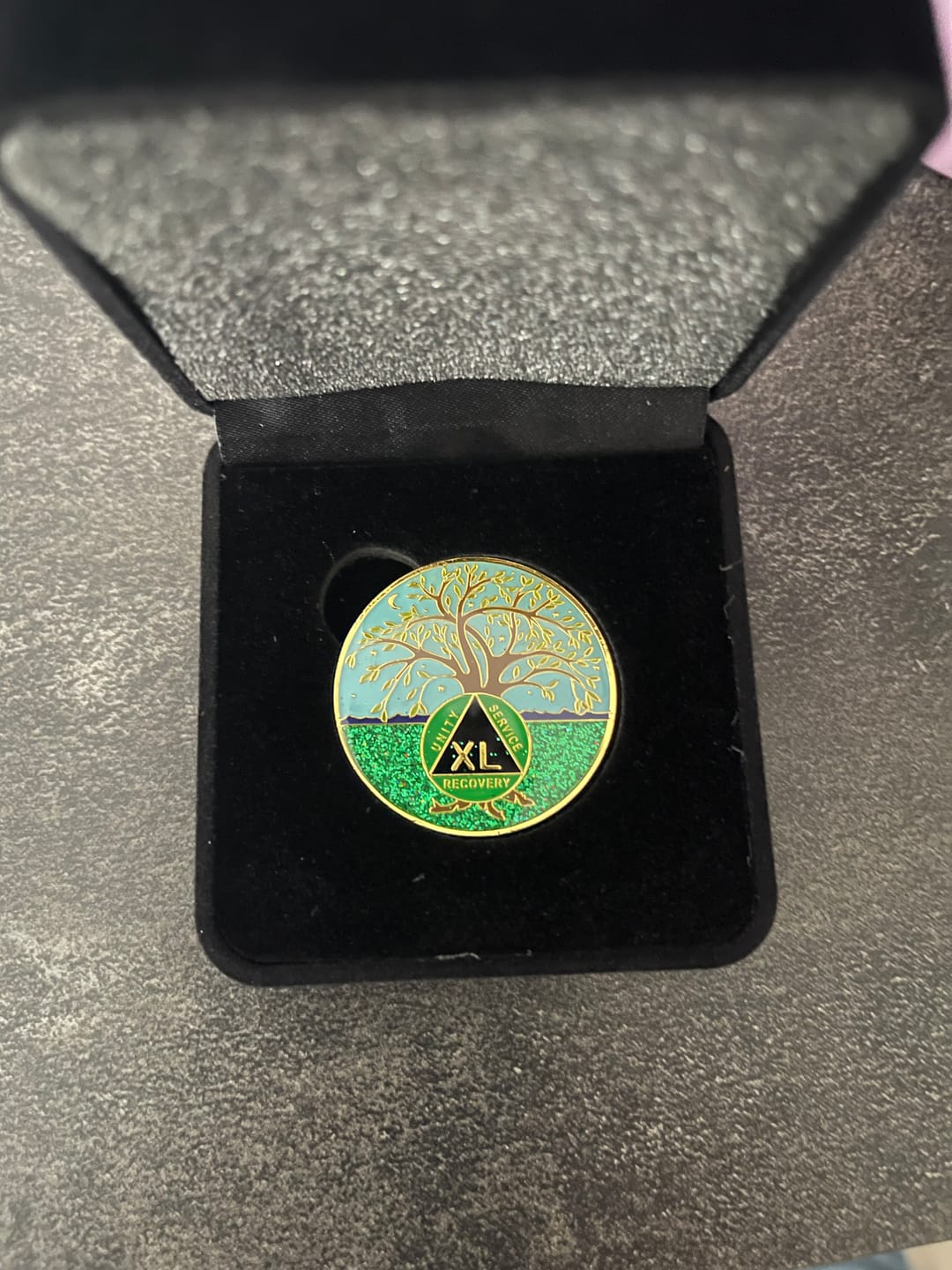 Customer photo review of 5 Year Tree of Life Specialty AA Recovery Medallion - Tri-Plated Five Year Chip/Coin + Velvet Case