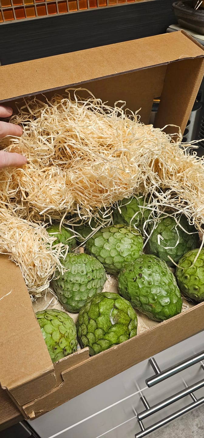 Customer photo review of Cherimoya Bio Hochernte-Retterbox Sonderaktion % 4kg