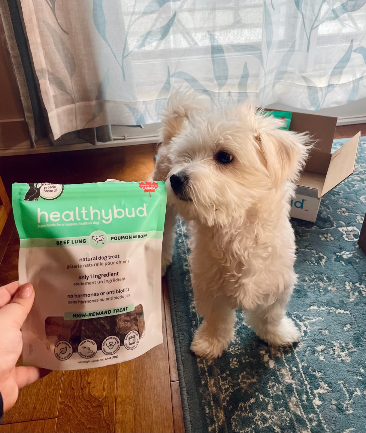 Customer photo review of Beef Lung Wafers