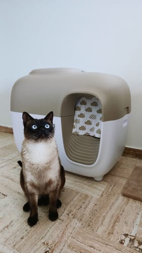 Customer photo review of Self-Cleaning Litter Box